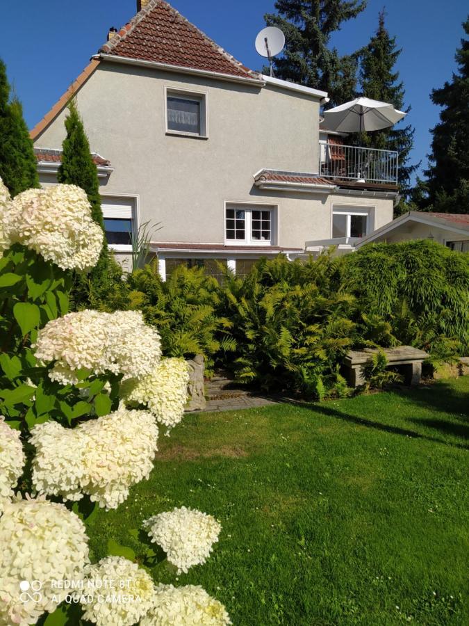 Kreativ Ferienwohnung Domizil Der Sinne Bad Liebenwerda Eksteriør bilde