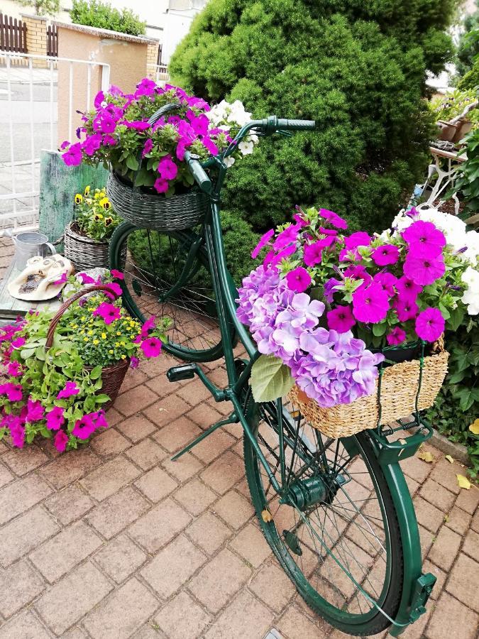 Kreativ Ferienwohnung Domizil Der Sinne Bad Liebenwerda Eksteriør bilde